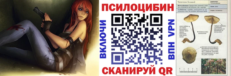 Галлюциногенные грибы прущие грибы где найти Судогда